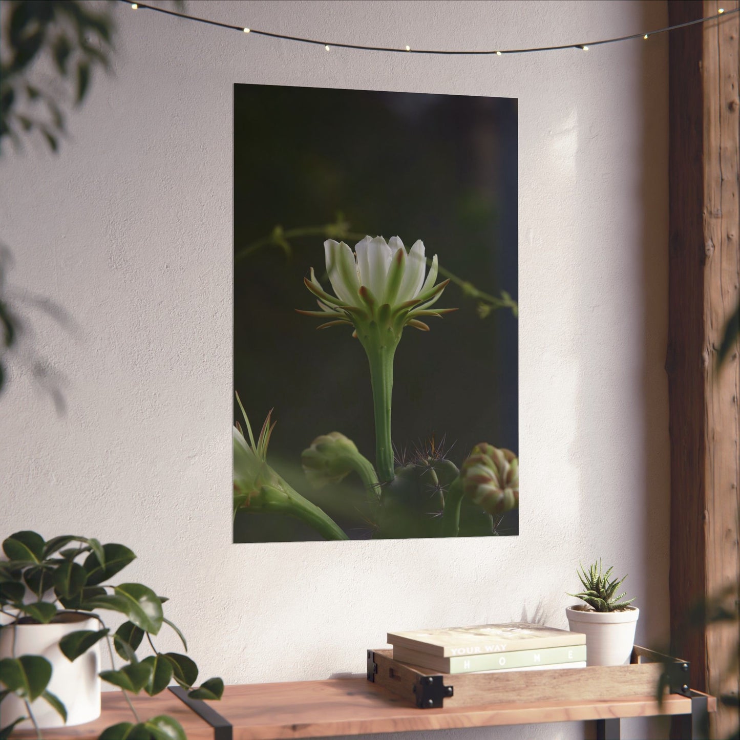 Botanical Cactus Wall Art - Minimalist Matte Poster