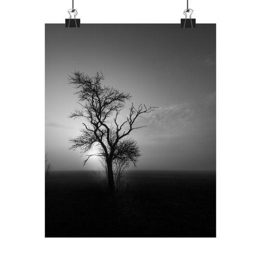 Black and white poster of a lone tree against a misty sky