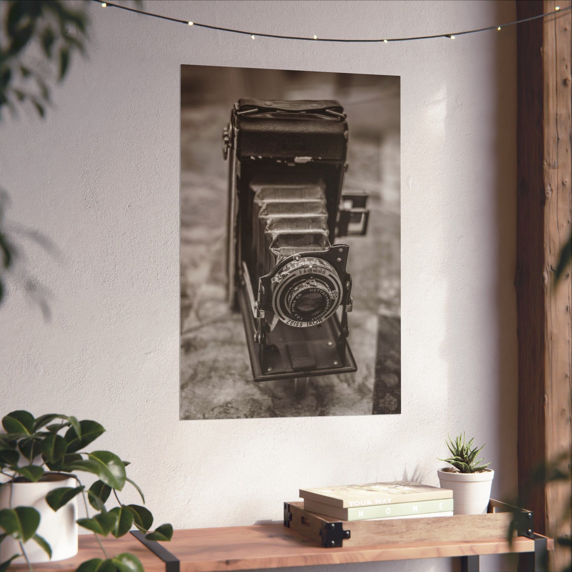 Vintage camera poster on a wall with a wooden table and plants below