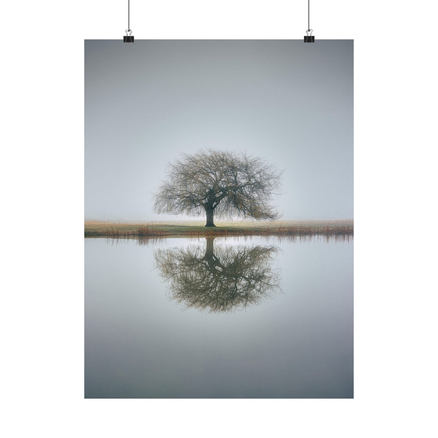 Tree reflected in water with a gray sky