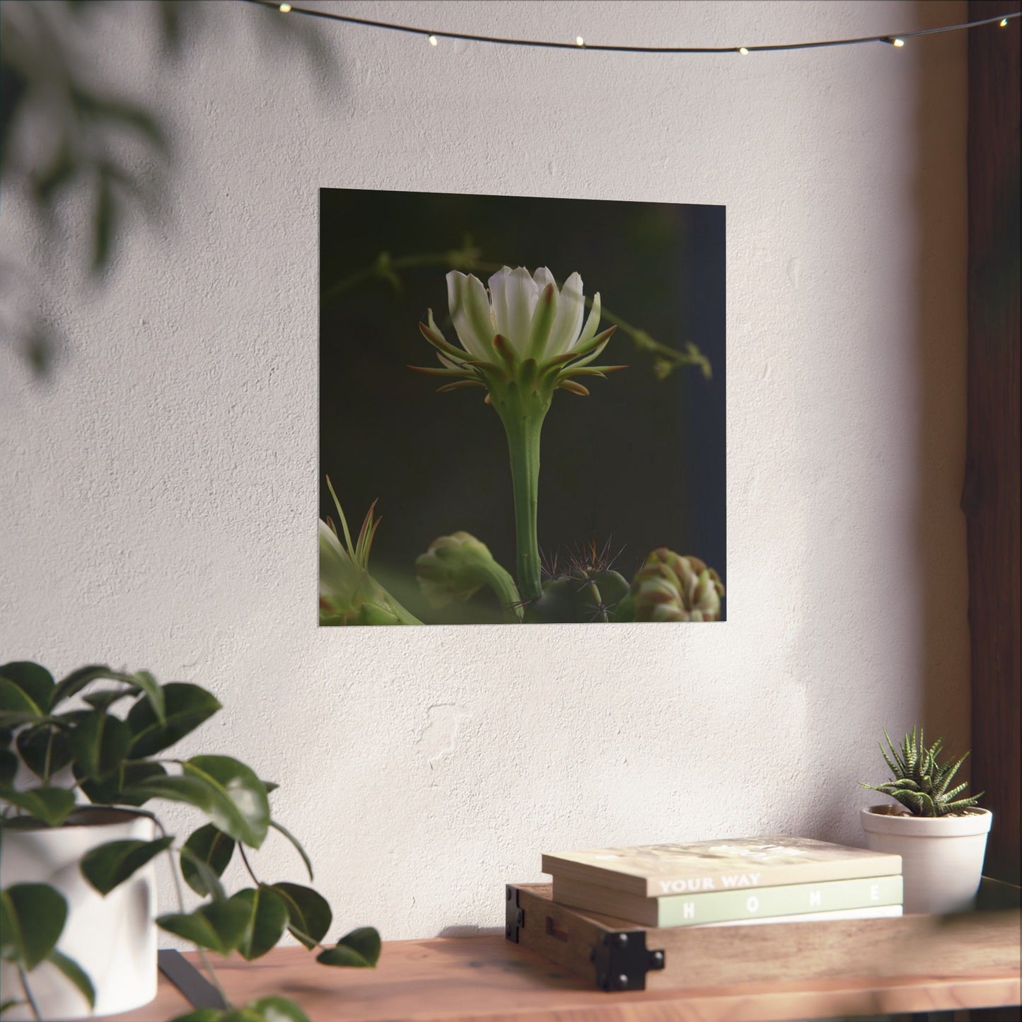 Botanical Cactus Wall Art - Minimalist Matte Poster